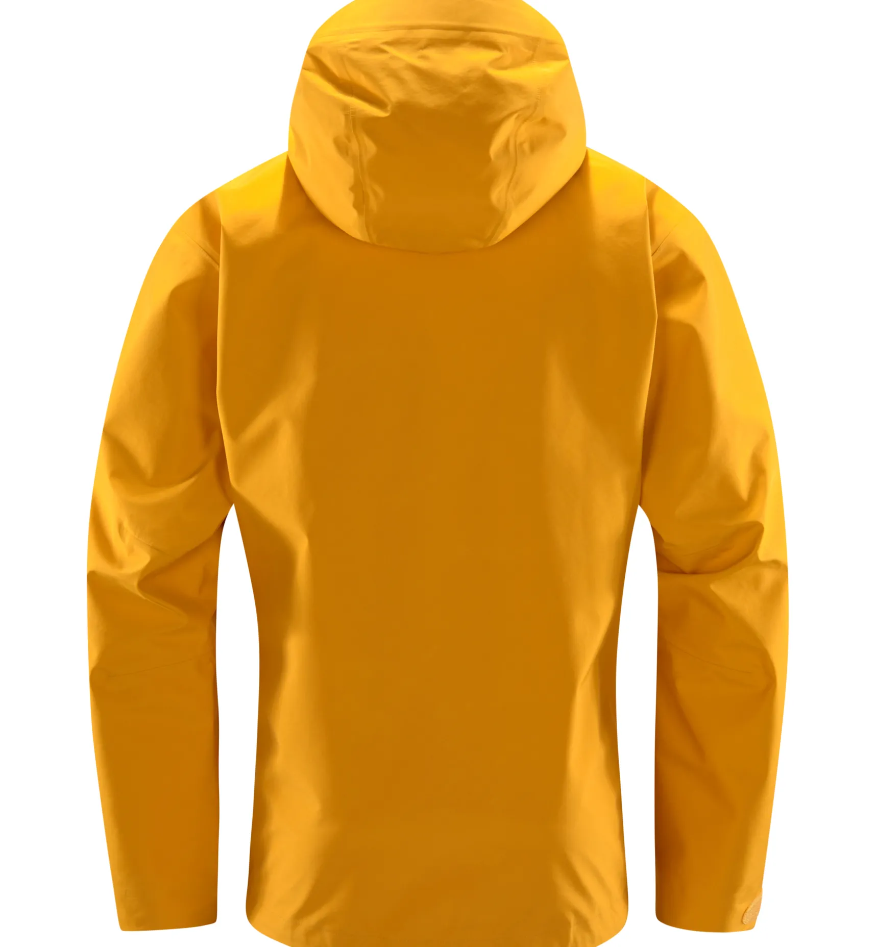 Roc Gtx Jacket Men